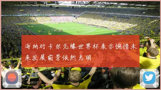 海纳对卡尔无缘世界杯表示惋惜未来发展前景依然光明